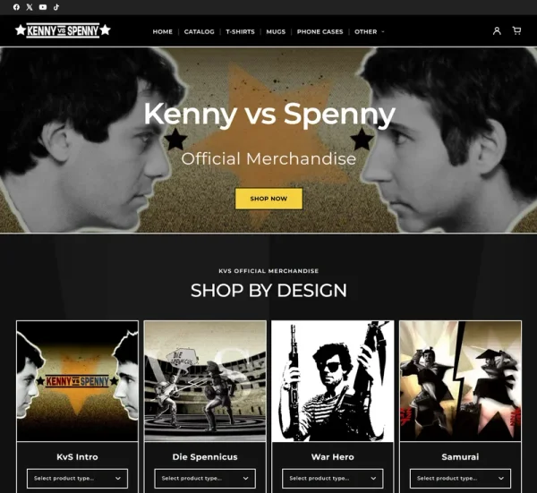 KVS professional website - Custom WordPress development for service business